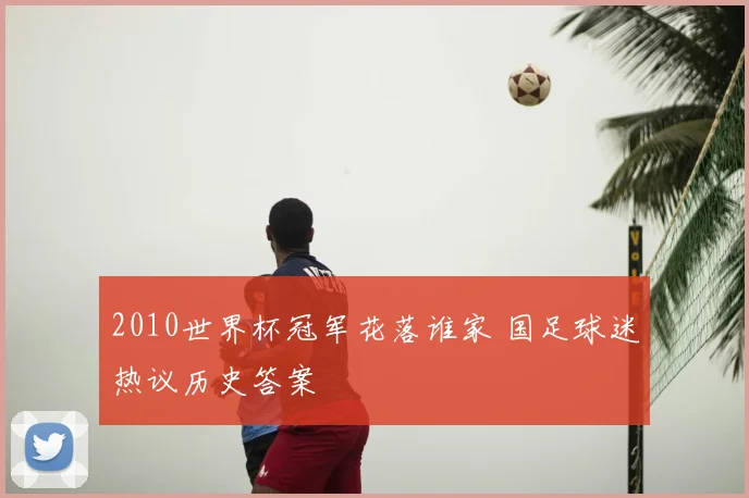 2010世界杯冠军花落谁家 国足球迷热议历史答案